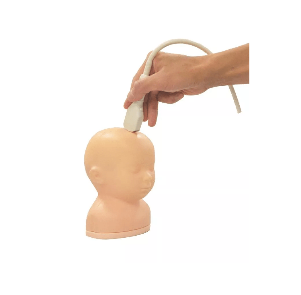 Neonatales Ultraschall - Übungsphantom Kopf - Erler - Zimmer